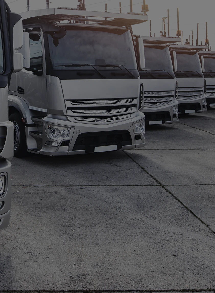 Transporte y distribucion